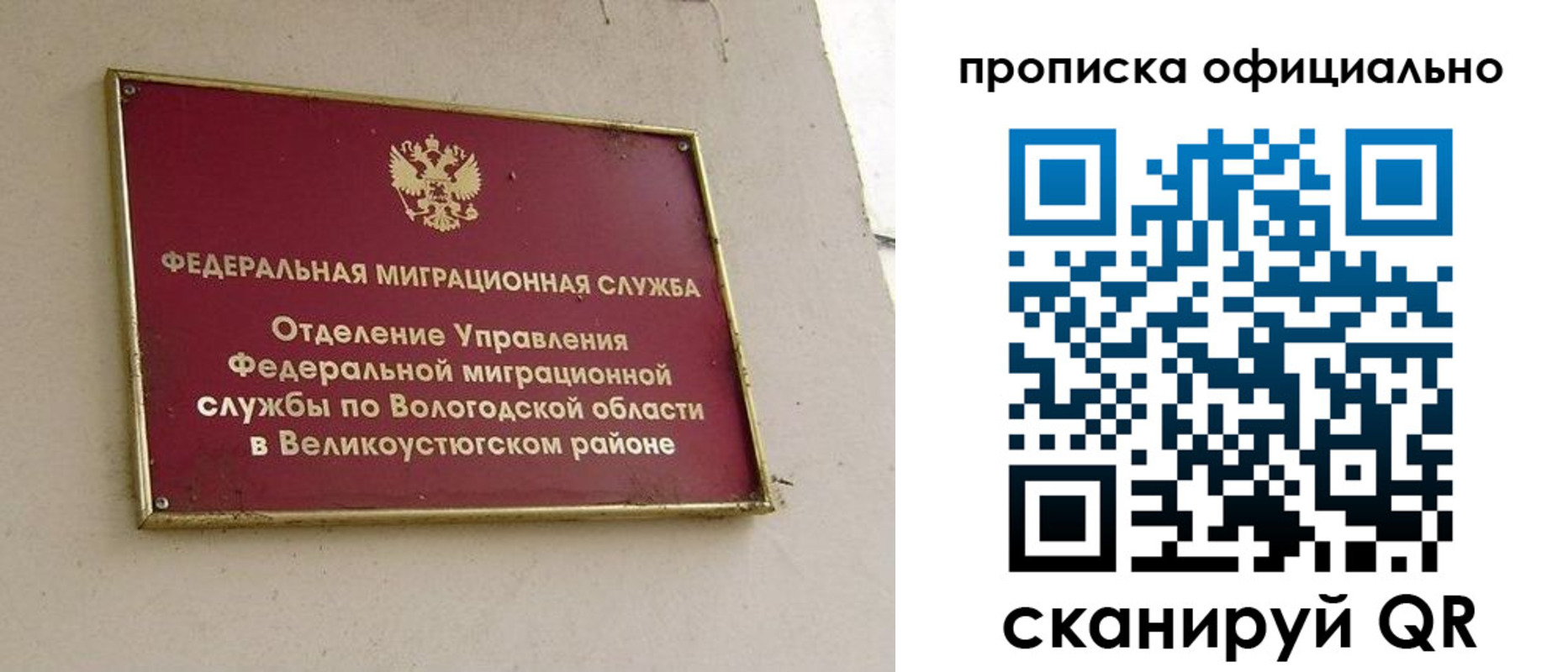 временная регистрация в квартире в Светлогорске